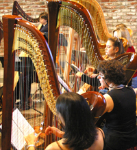 2002 harp concert in Los Altos