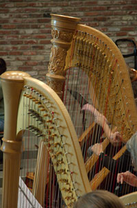 Harp closeup