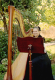 Playing harp for a wedding in Mountain View