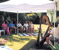 Informal harp music performance at a studio barbecue in San Jose